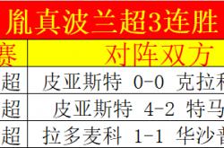 爱游戏APP-欧洲杯预选赛：波兰斩获连胜，实力蒸蒸日上的简单介绍