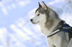 爱游戏娱乐-罗德里一锤定音，墨西哥城力克切尔西改写历史