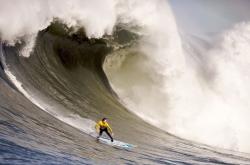 爱游戏官网-王者归来，欧文扛起全队，国王强势拿下魔术