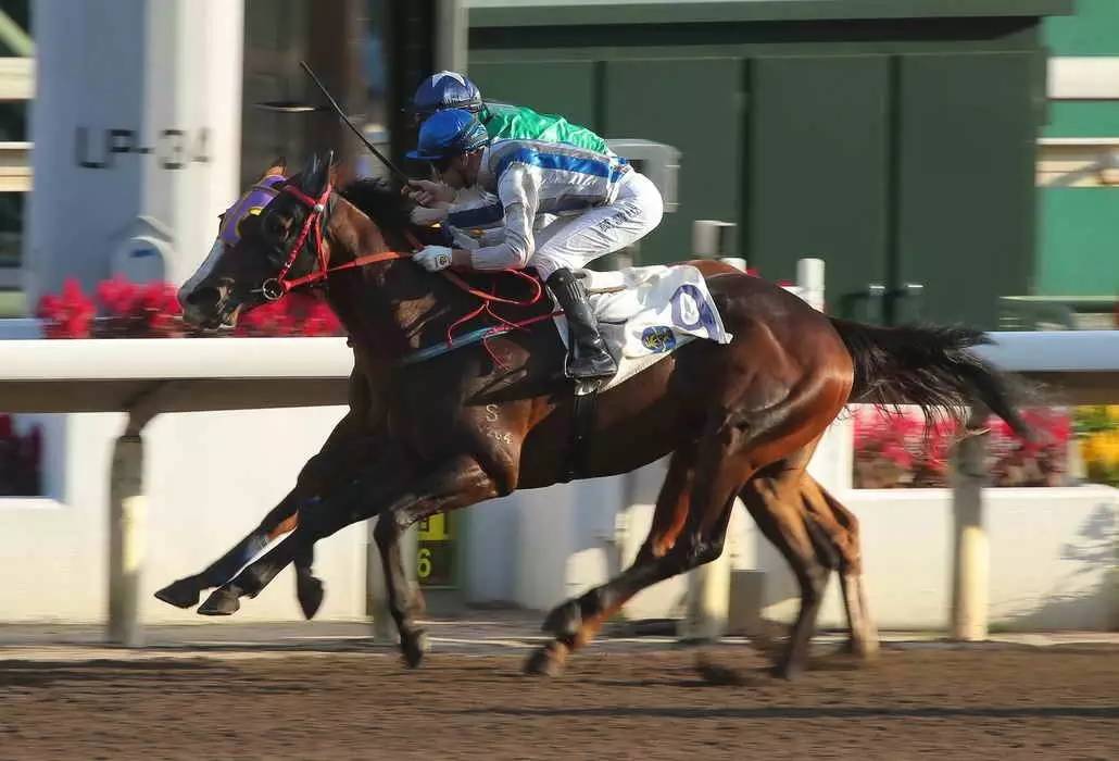 史卓觊觎三分，为保级斗争继续加油的简单介绍