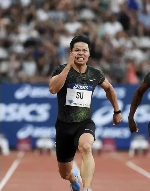 体育传奇的英雄事迹感人至深