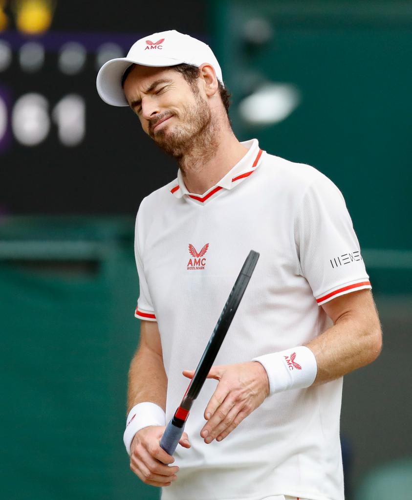 温网横扫拉沃尔杯，穆雷扛起全队的简单介绍